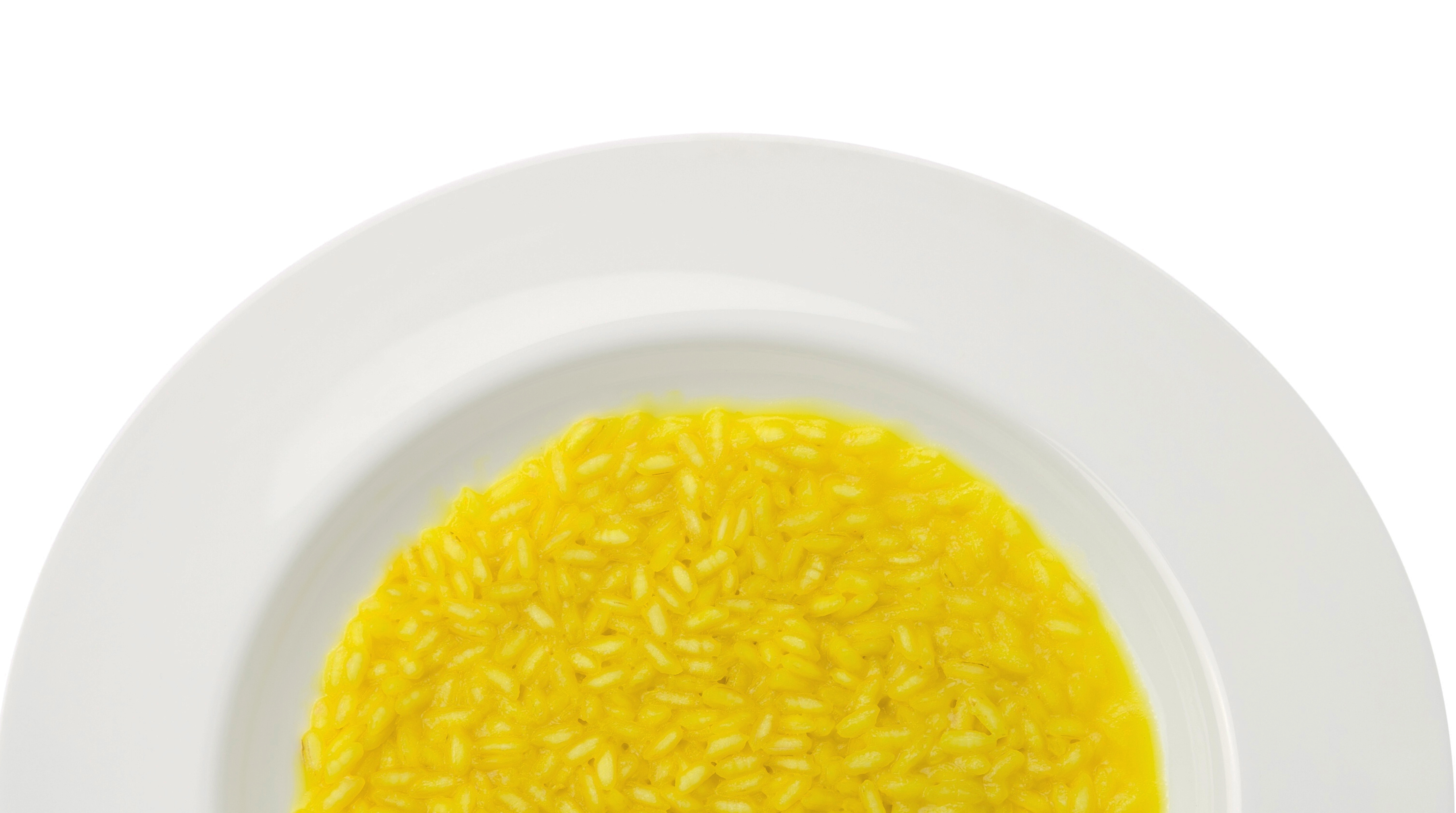 rolluprisogiallo (1)